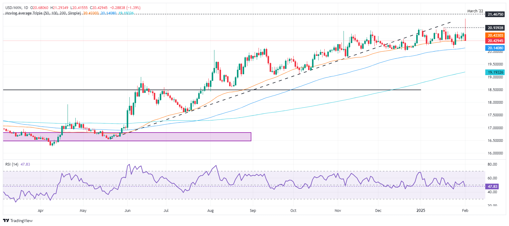 미국-멕시코 관세 일시 중단으로 긴장 완화로 멕시코 페소 상승